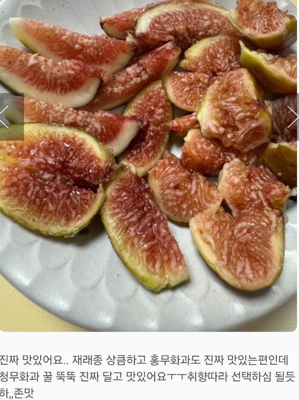 영암-재래종-무화과-천안기-