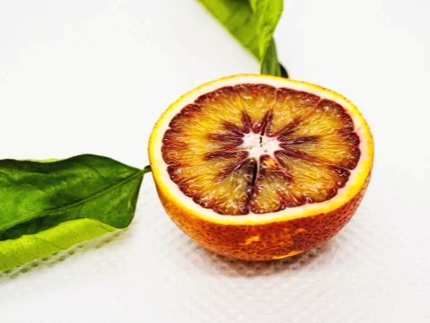 체지방 관리에 도움을 주는 모로 오렌지