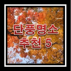 단풍추천명소 5