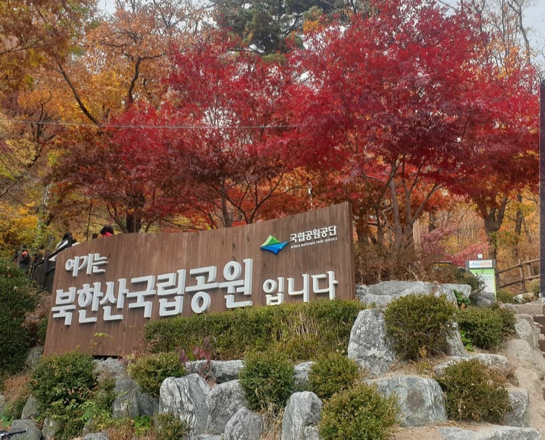 가을 단풍 명소