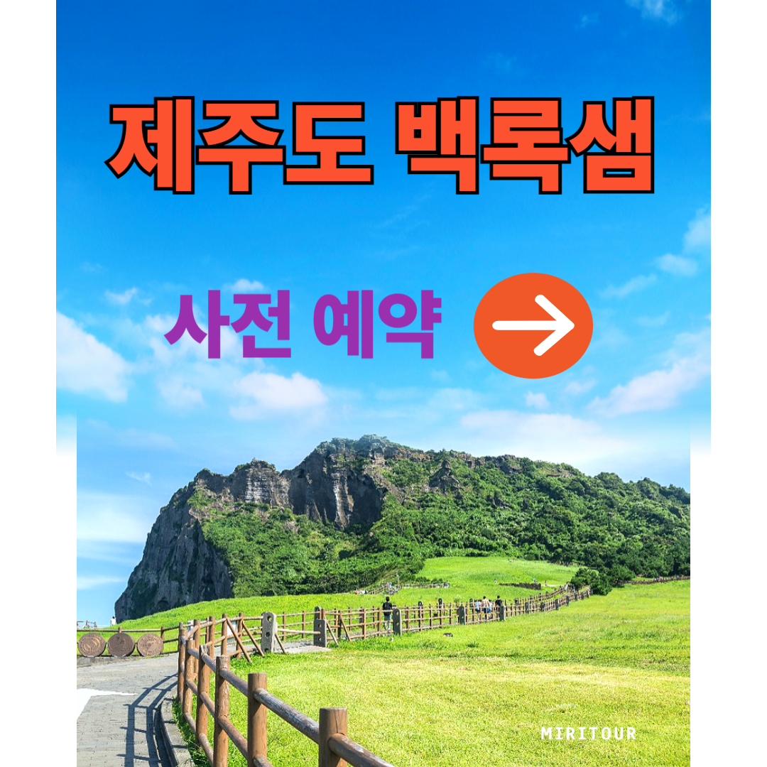 제주도-백록샘-사전예약