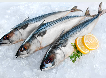 탈모에 좋은 고등어