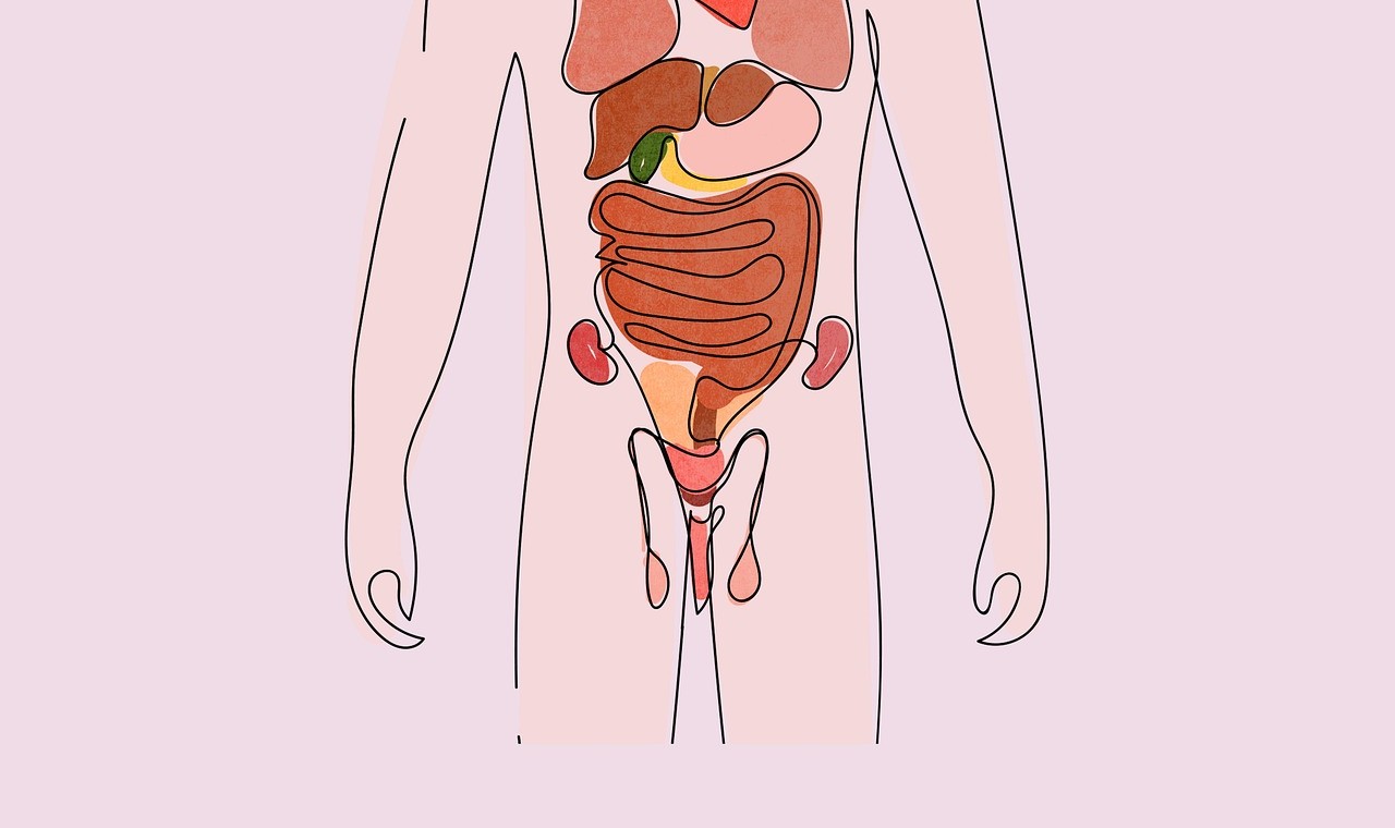 단백뇨 증상