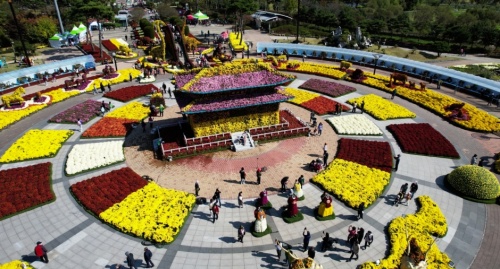 전남_함평_국화대전