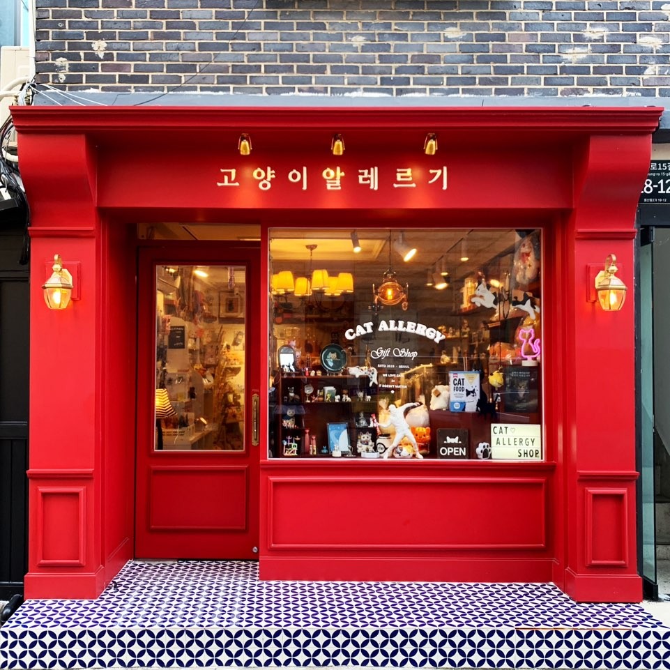 고양이알레르기