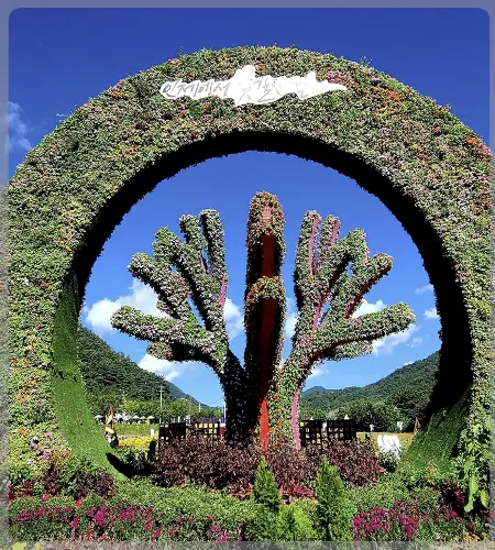 인제 가을꽃축제_3