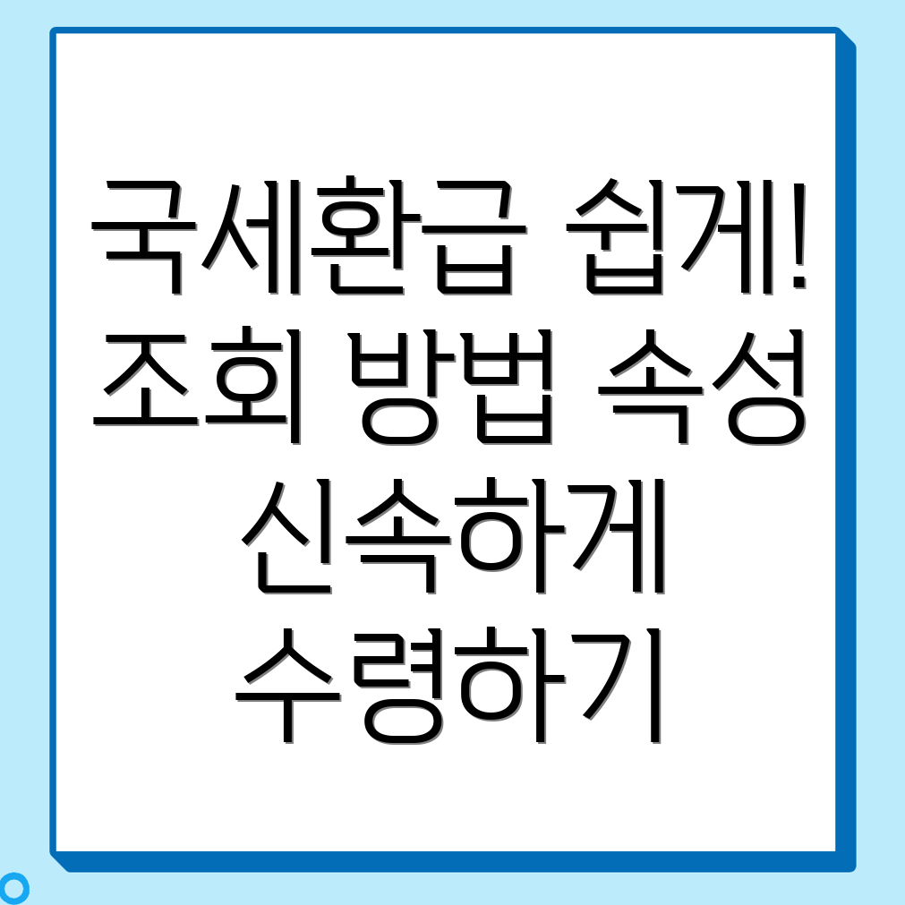 국세환급금