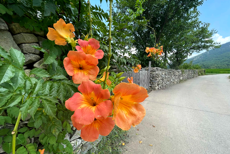 아산 외암민속마을