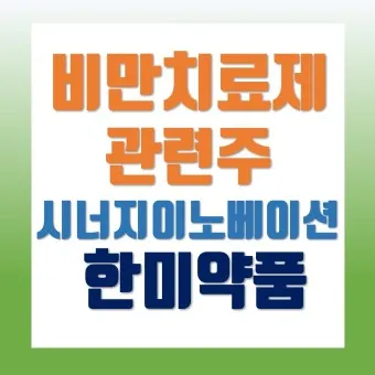 비만치료제 대장주 관련주 TOP5_26