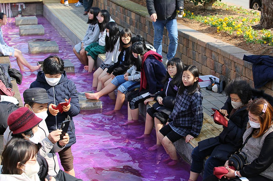 강진 청자축제 사전관람 예약