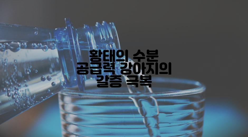 황태의 수분 공급력 강아지의 갈증 극복