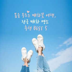 전국 벚꽃 명소 추천
