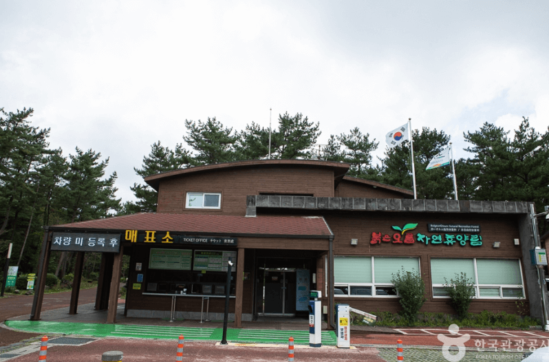 붉은오름 자연휴양림