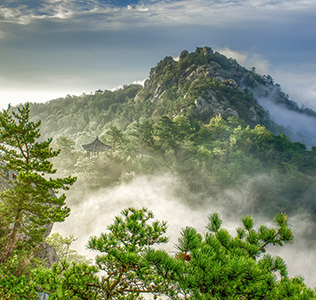 목포 유달산 개나리 축제 주차 맛집 꿀팁정리