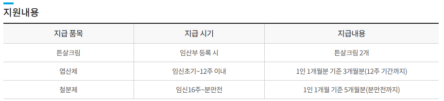 임산부등록관리 지원내용