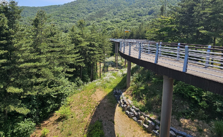 보령 무궁화수목원