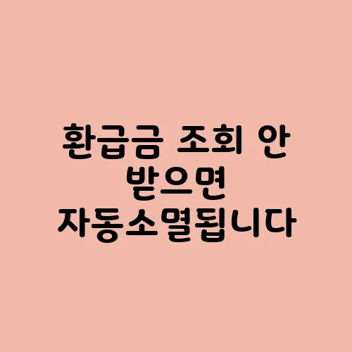 환급금 조회 안 받으면 자동소멸됩니다