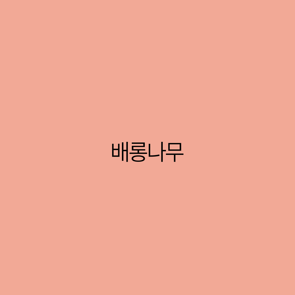 배롱나무 여름의 아름다움을 담은 나무