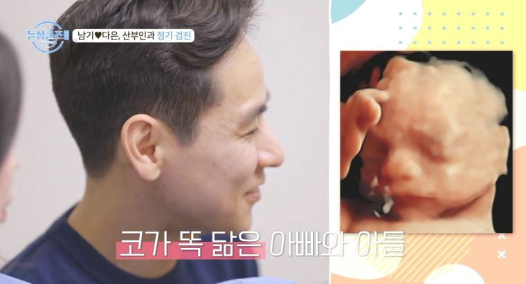 돌싱글즈