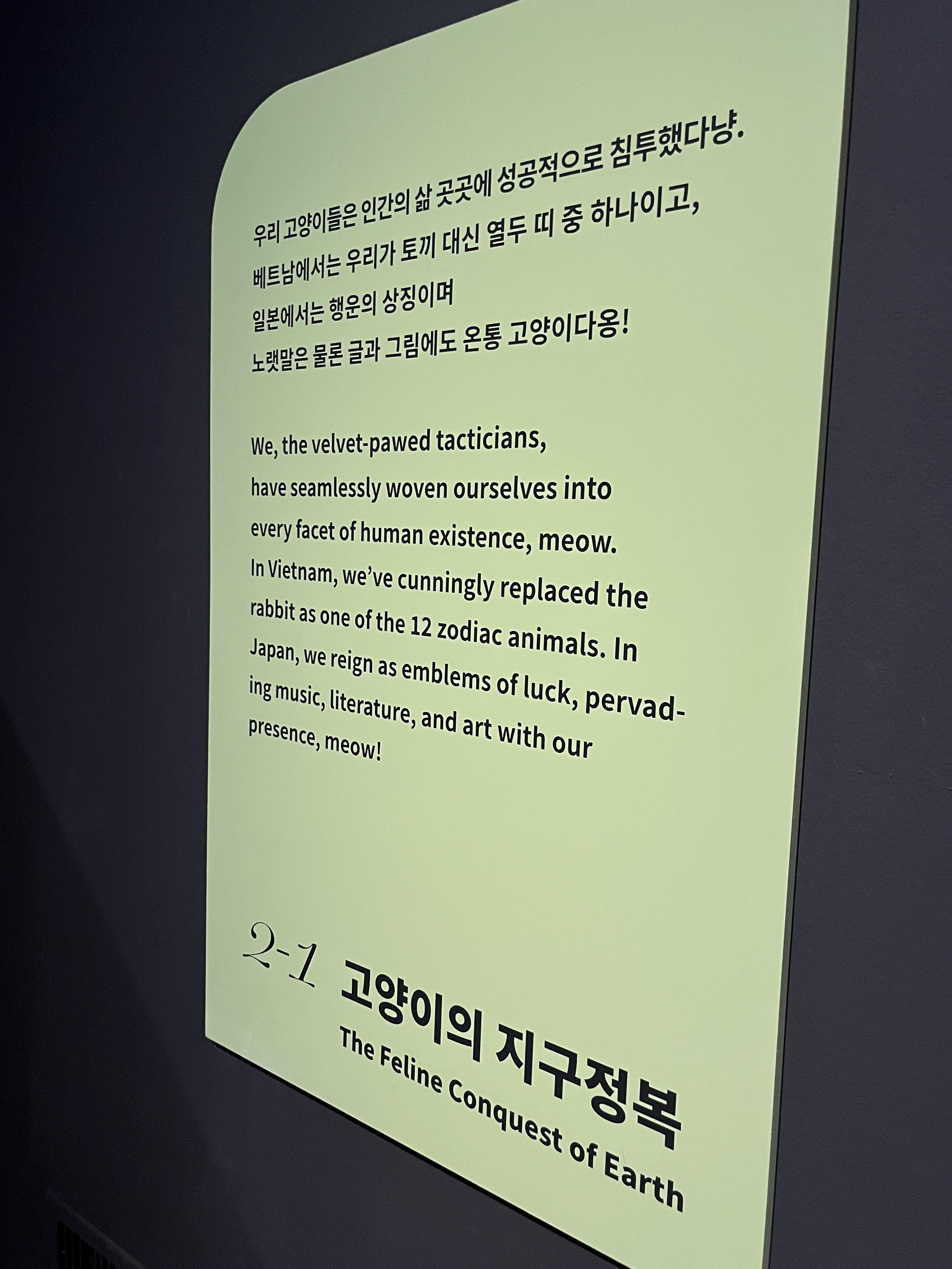 요물 우리를 홀린 고양이