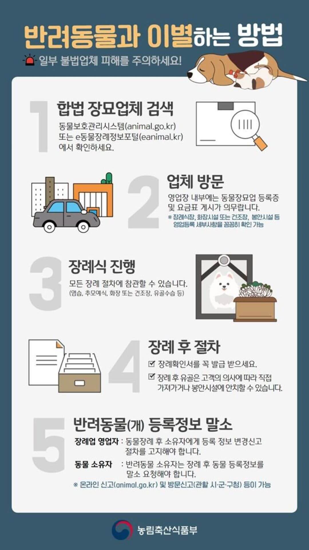 반려동물이별방법