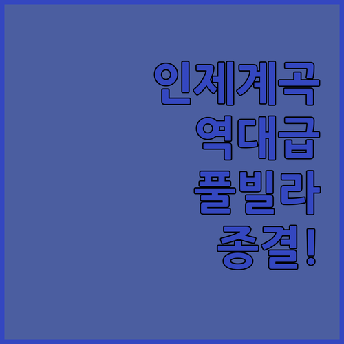 인제 계곡 앞 펜션부터 럭셔리 풀빌라..