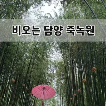 담양 죽녹원 소아르호텔 숙박 맛집_16