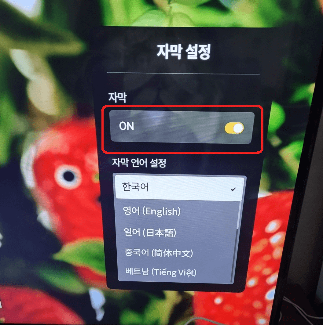 한글자막방송 설정 및 해제 방법