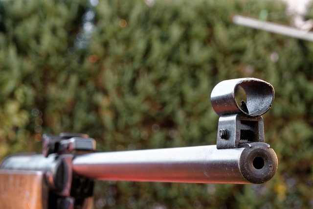 영화 속의 총기