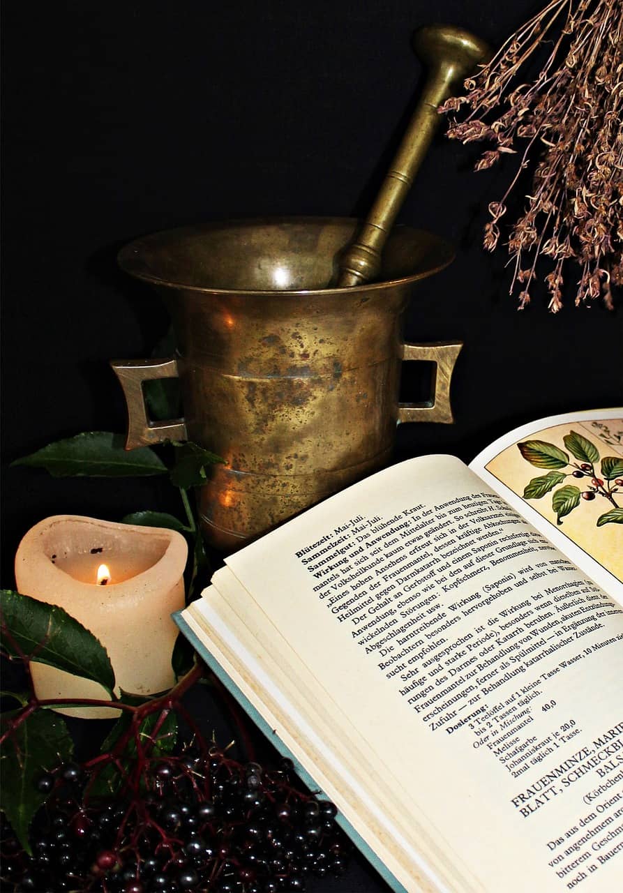 자연요법(Naturopathy)