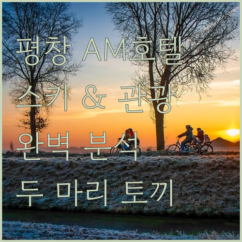 평창 AM호텔 완벽 분석! 스키 & 