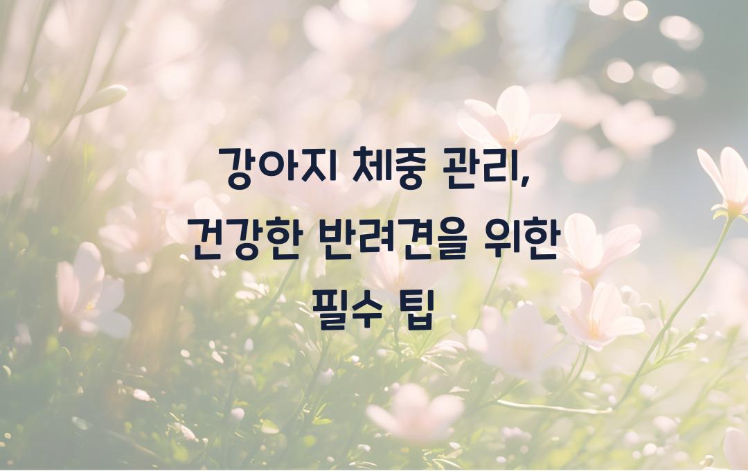 강아지 체중 관리: 건강한 반려견 키우기