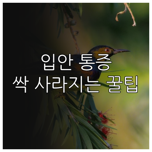 수족구병 입안 통증 완화 음식과 가정..