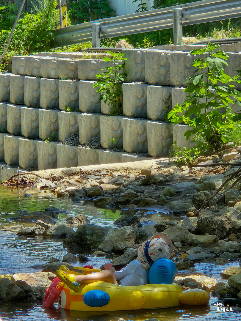 용인 고기리 계곡 꼬맹이