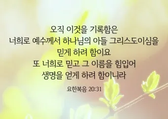요한복음 5장 24절 성경말씀 - 내 말을 듣고 또 나 보내신 이를 믿는 자는 영생을 얻었고_17