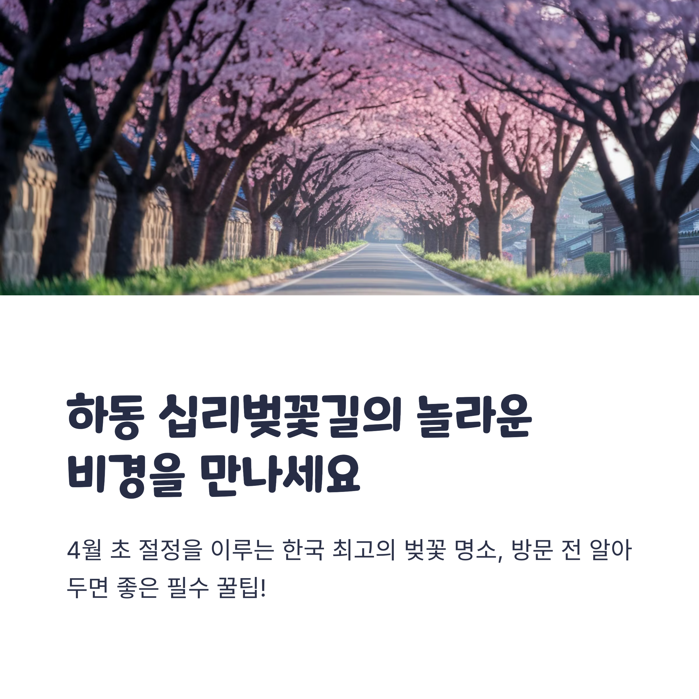 2025 하동 십리벚꽃길 실시간 주차 꿀팁! 혼잡 시간 피하는 법