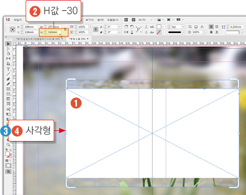 카메라 포커스22