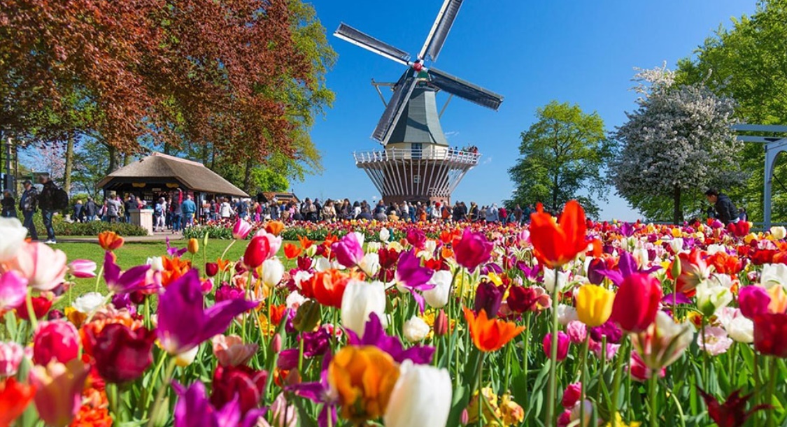 쾨켄호프 튤립 정원
