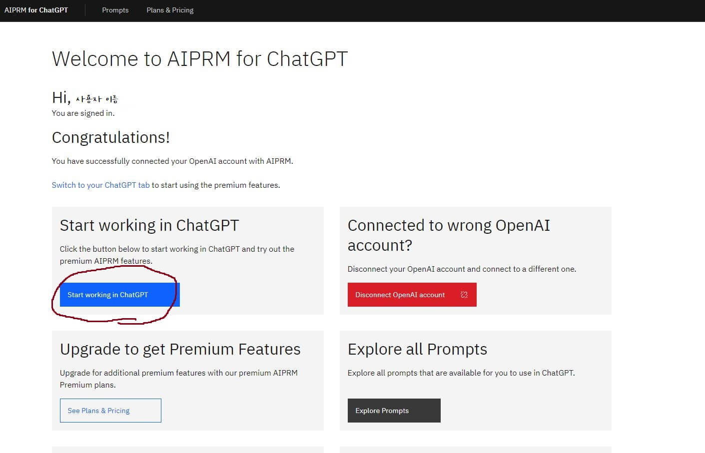 AIPRM 사이트