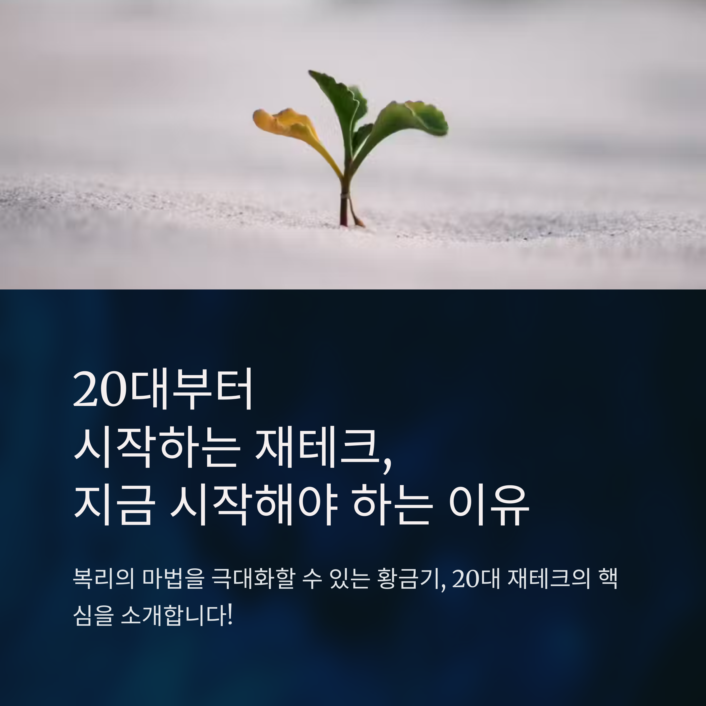 20대부터 시작하는 재테크! 꼭 알아야 할 투자법