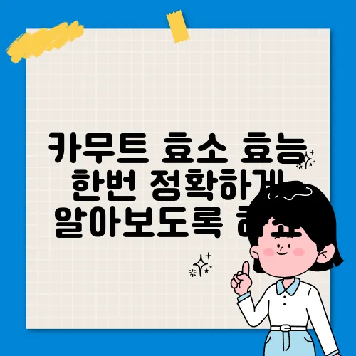 카무트 효소 효능 한번 정확하게 알아보도록 하죠