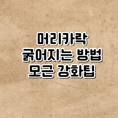 머리카락 굵어지는 방법(머리카락&#44; 모근 강화로 모발 굵어지게하는 팁)