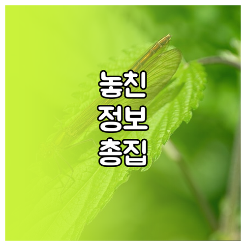 여행 브이로그 시작 장비 초보자 필독..