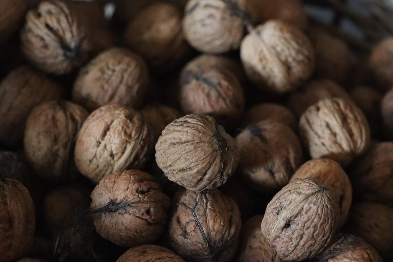 견과류 호두사진