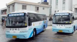 대중교통