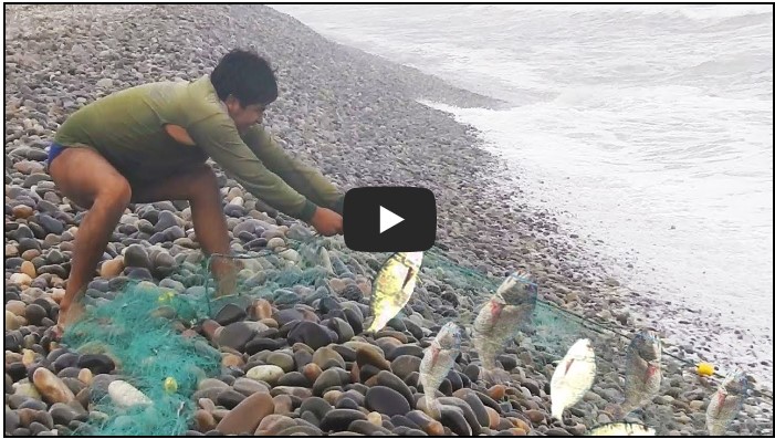 낚시 유튜버 순위 TOP 10 8