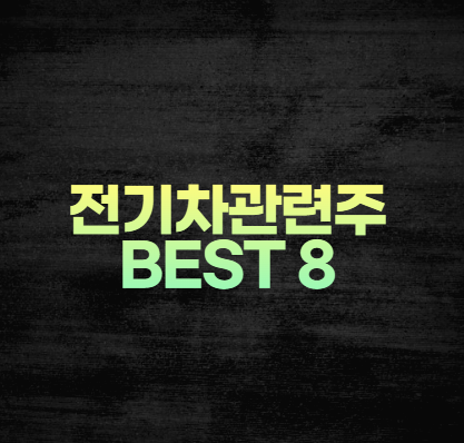 미국 전기차(EV) 충전 관련주