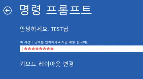 명령프롬프트 창에서 계정 암호를 입력하는 모습