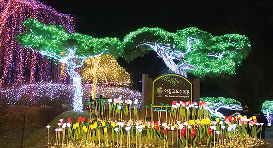 아침고요 수목원 오색별빛 정원전