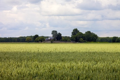 영농 경력 5년 쉽게 하는 법: 농지연금